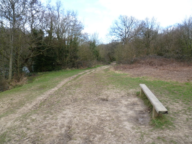 Centenary Walk Alongside Highams Park © Marathon Geograph Britain