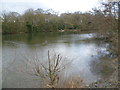 Highams Park lake