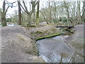 Footbridge over the River Ching in Highams Park