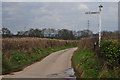 East Devon : Country Lane