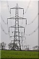 East Devon : Grassy Field & Pylons