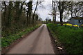 East Devon : Country Lane