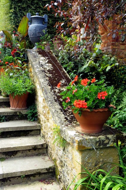 Planters on the steps to the Stilt... © Steve Daniels :: Geograph ...