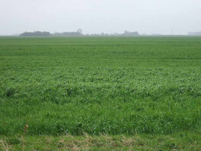 Farmland south of Queen's Bank