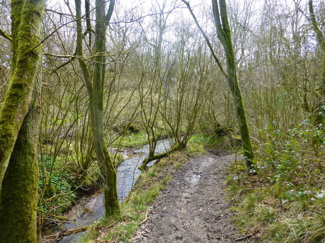 Rotary way path crosses a brook at Giants Seat Wood
