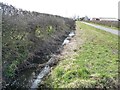 Drain alongside Haggitt Hill Lane