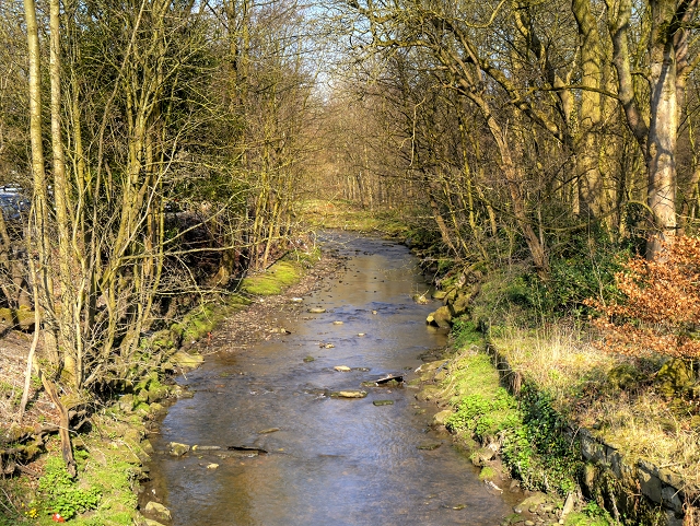 River Blakewater, Witton Park