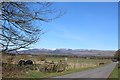 Straight road NE of Shearerston