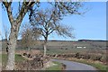 Road between Newraw and Abbey Farm