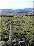 NU0013 : Waymark for the Hillfort Trail by Russel Wills
