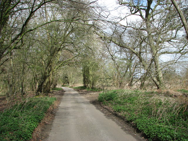 View along the northern section of... © Evelyn Simak :: Geograph ...