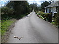 A lane passes Gipsy Cottage