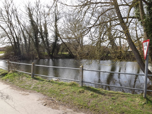 Pond off Browne's Lane