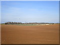 View towards Brauncewell Quarry