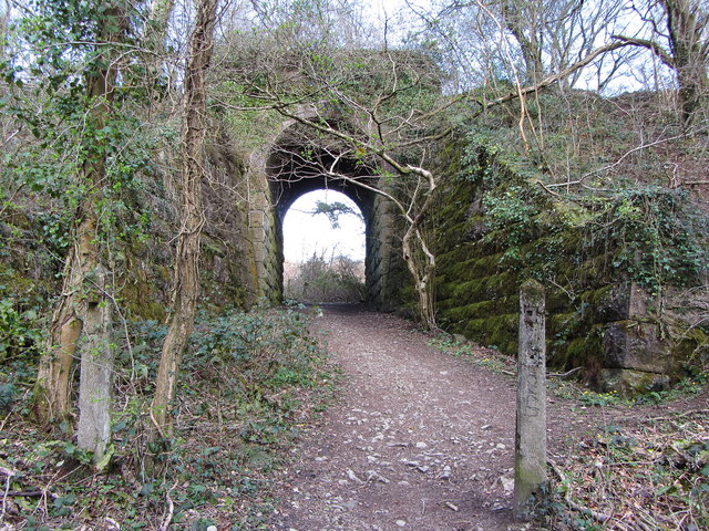 Path beneath the Taff Trail