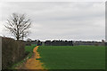 Public footpath near Wicks Manor Farm, Tolleshunt Major