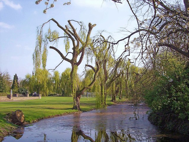A trim for the weeping willows at Bourne, Lincolnshire