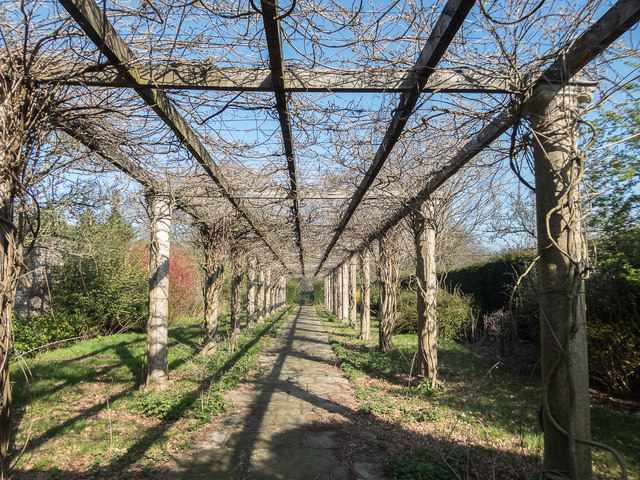 Wisteria Archway, Walled Garden, Trent Park, Cockfosters, Hertfordshire