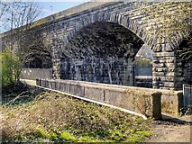 SD7910 : Stone Footbridge over the Irwell by David Dixon