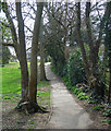 Church Path, Billingshurst (1)