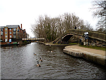 SJ9398 : Ashton Canal:  Dukinfield Junction by Dr Neil Clifton