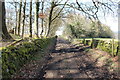 Track at Old Hall Plantation