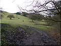 Footpath between Mill Brow and Mellor