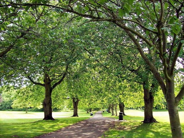 Summer In The Wellhead Gardens At © Rex Needle :: Geograph Britain 