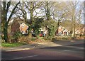 Houses in Dunstall Park