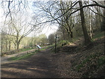 SE2936 : Junction of paths at Woodhouse Cliff by John Slater