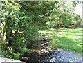 Stream below Drumroe Bridge