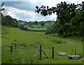 Shallow valley near Kinver Edge