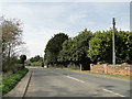 TM1738 : B1456, Main Road, Woolverstone by Adrian S Pye