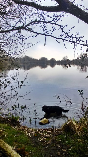 Lake at Felmersham Gravel Pits