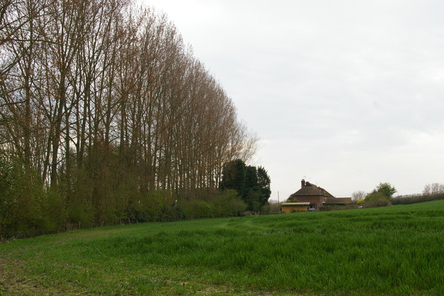 Houses off Old Church Lane, from the Greensand Way