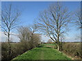 End of the lane northwest of Meadow Farm