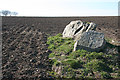 NJ6843 : Pitglassie Recumbent Stone Circle (3) by Anne Burgess
