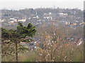 View south from Alexandra Palace