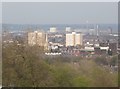 Tower blocks near Bounds Green Road from Alexandra Park