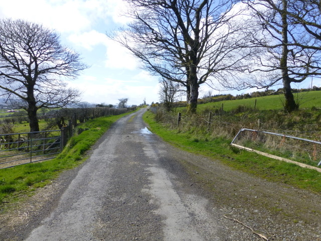 Backglen Road, Ballynaquilly © Kenneth Allen cc-by-sa/2.0 :: Geograph ...