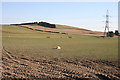 Looking towards Kirk Hill