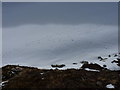 NN6681 : Hare tracks on snow by Richard Law