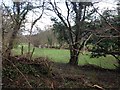 View from the old reading room