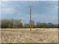 Pylons, Broadstreet Common