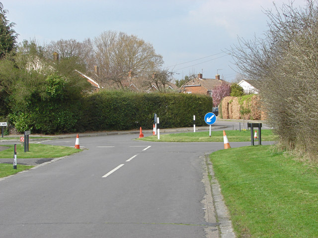 Sandpit Heath, Fairlands