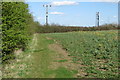 Path to Moorland