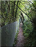 SU5750 : Path behind Kings Orchard by Mr Ignavy
