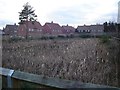 Wetland amongst houses