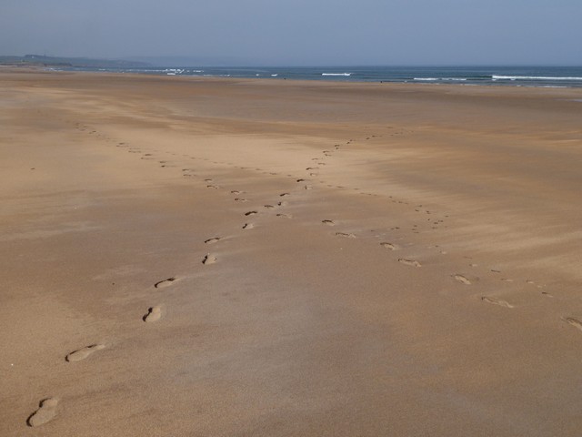 Footprints on Cheswick Sands