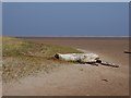 NU0744 : Driftwood on Goswick Sands by Oliver Dixon